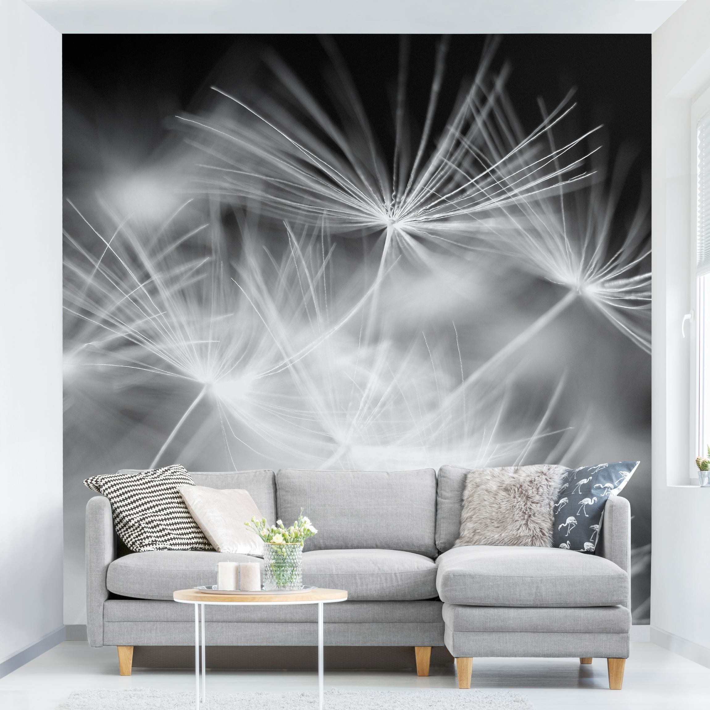 Papel pintado fotomural diente de león flores naturaleza blanco y negro 17 - salón dormitorio cocina pasillo - tnt 192 x 192 cm adhesivo