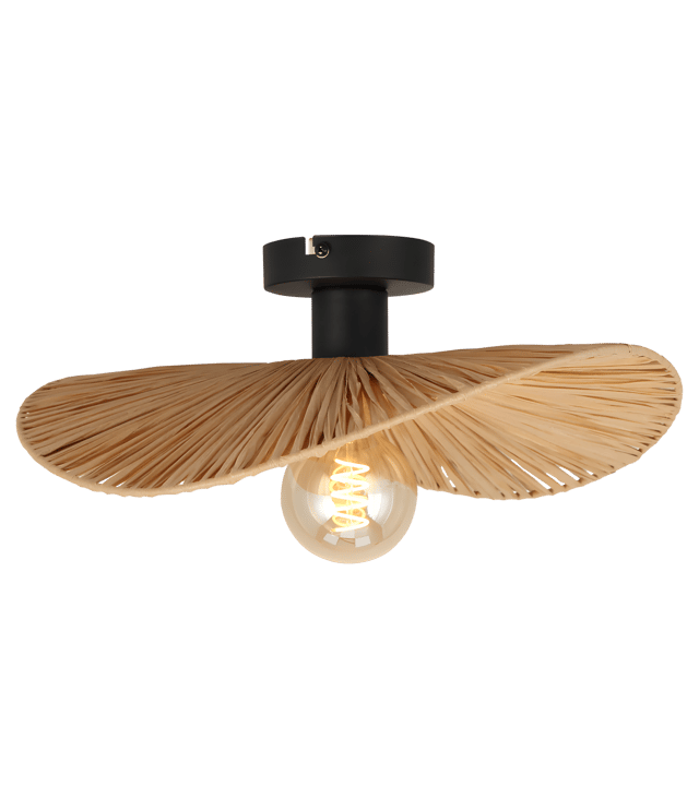 Lampa Sufitowa Toolight App1827-1C Czarny