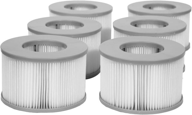 JEFFEL Lot De 6 Cartouches Filtre à Visser Pour Spa Gonflable - Compatible Cosy Spa, Clever Spa, Costway - Diamètre 60mm