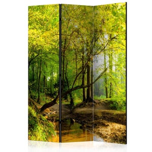 Paravent 3 Volets Paris Prix Emerald Mystery, Bois, 135x172cm, Multicolore, Déco Intérieure