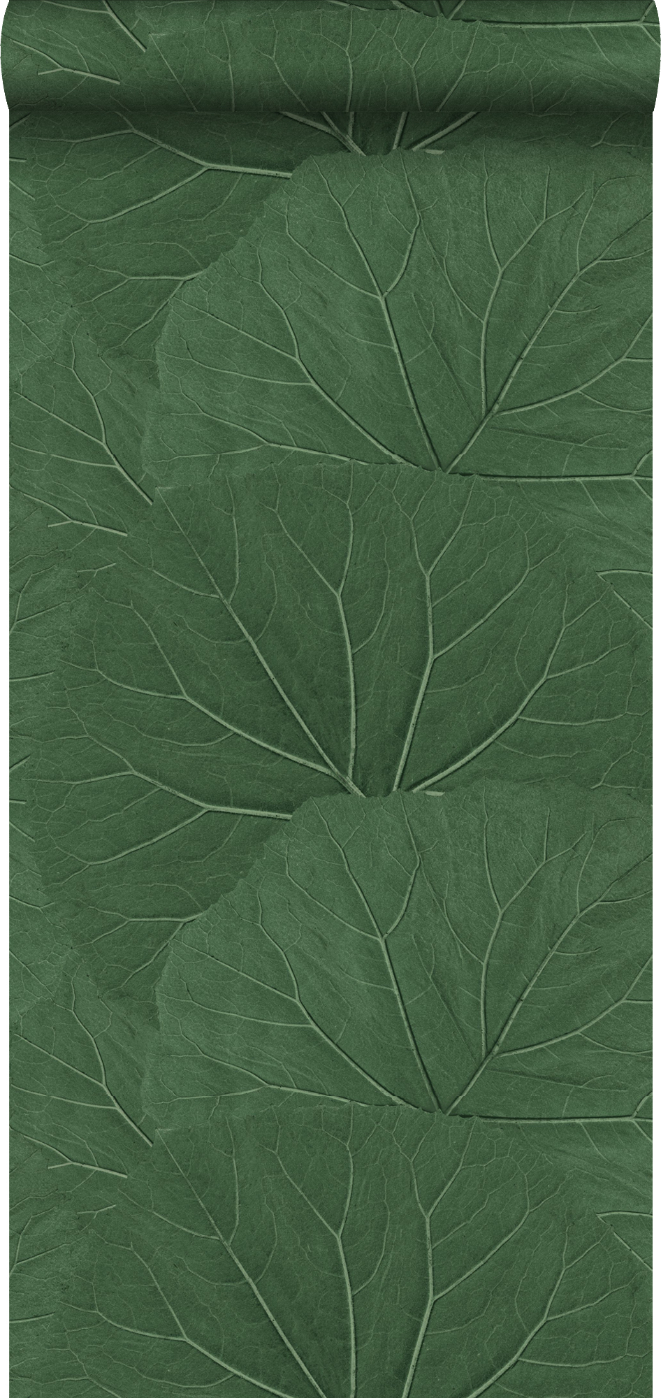 Papel pintado hojas grandes verde oscuro - 0,53 x 10,05 m - estahome