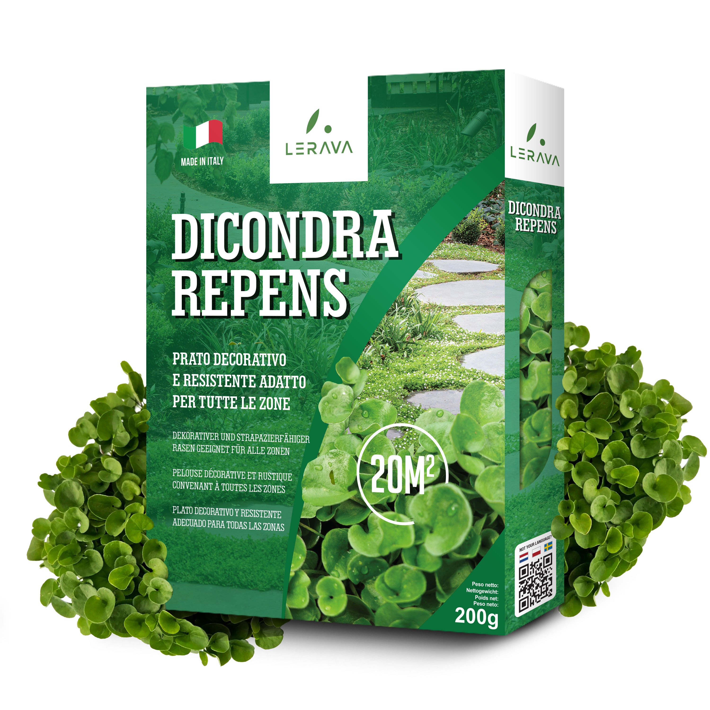 Semi Dichondra Repens Per Prato Decorativo - 200gr Per 20mq, Resistente E Facile Da Coltivare - Foto 2