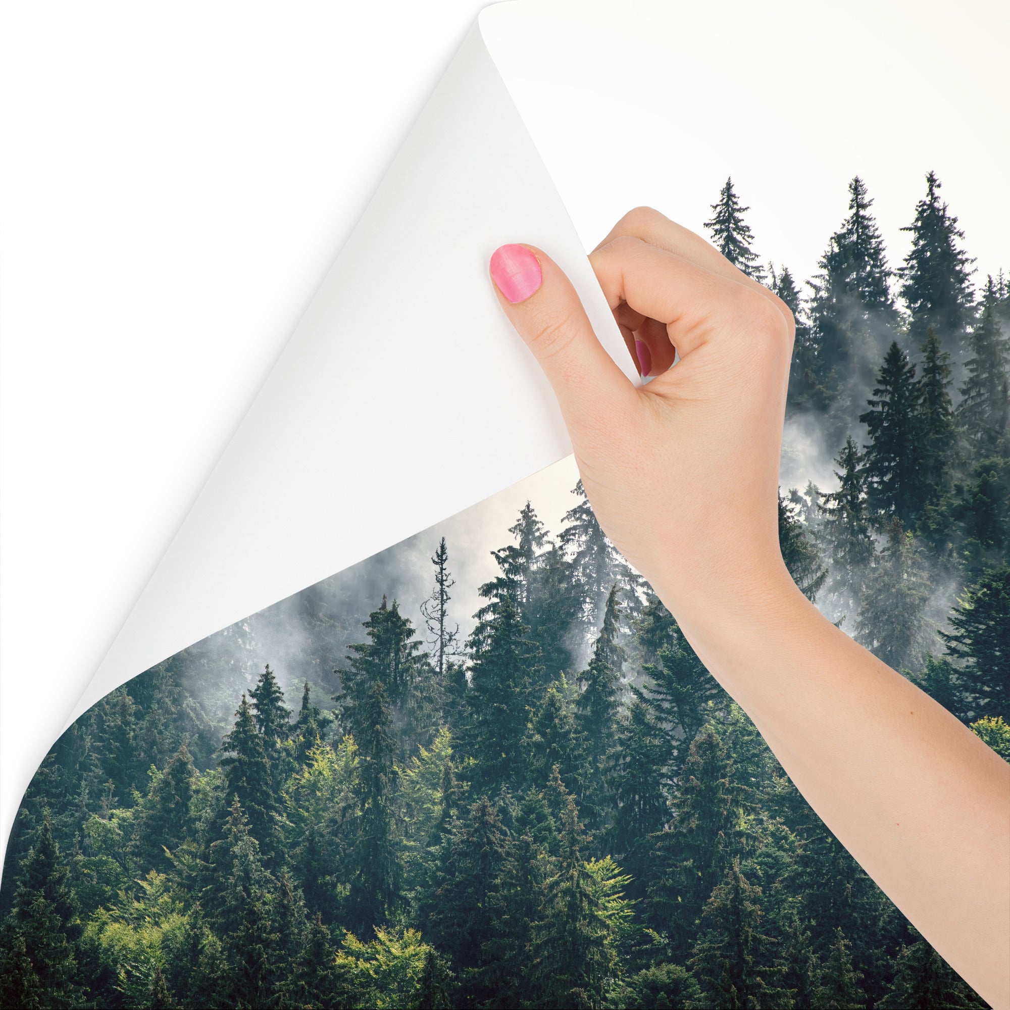 GIVLWF Fotomurali 3D Piante Tropicali Della Foresta Pluviale - Foto 10