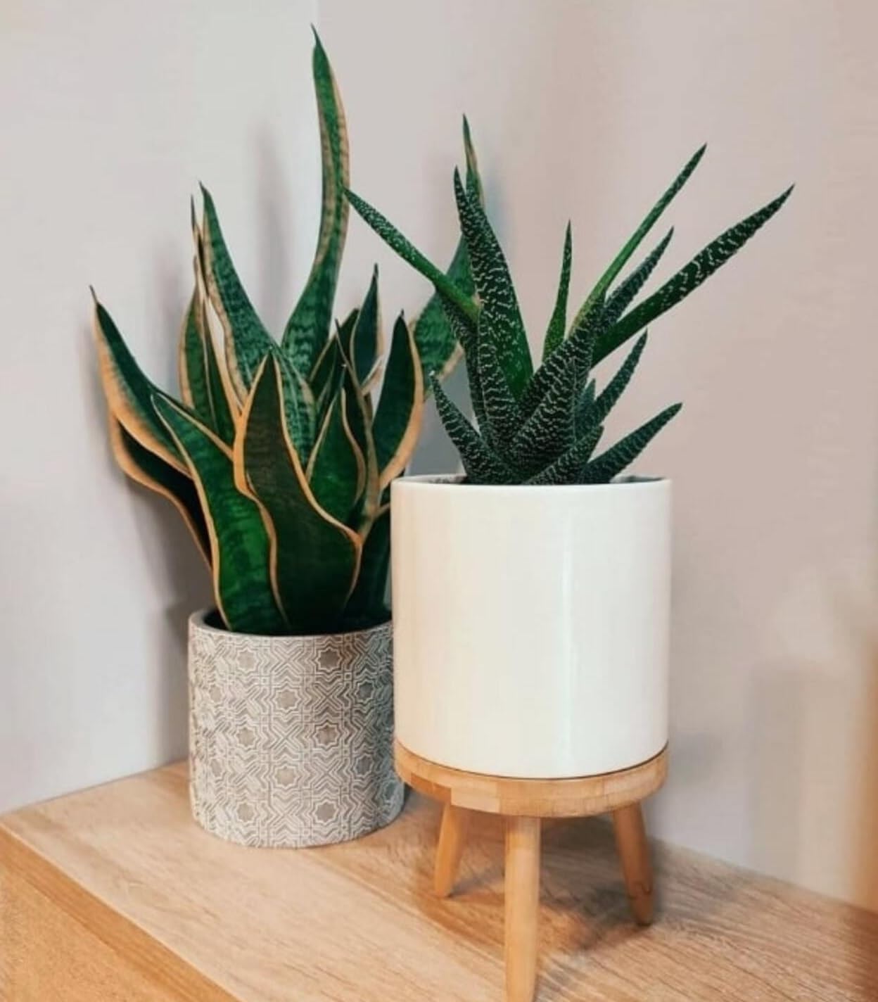 Donica doniczka osłonka ceramiczna z bambusem fi13 - KOTARBAU - 4