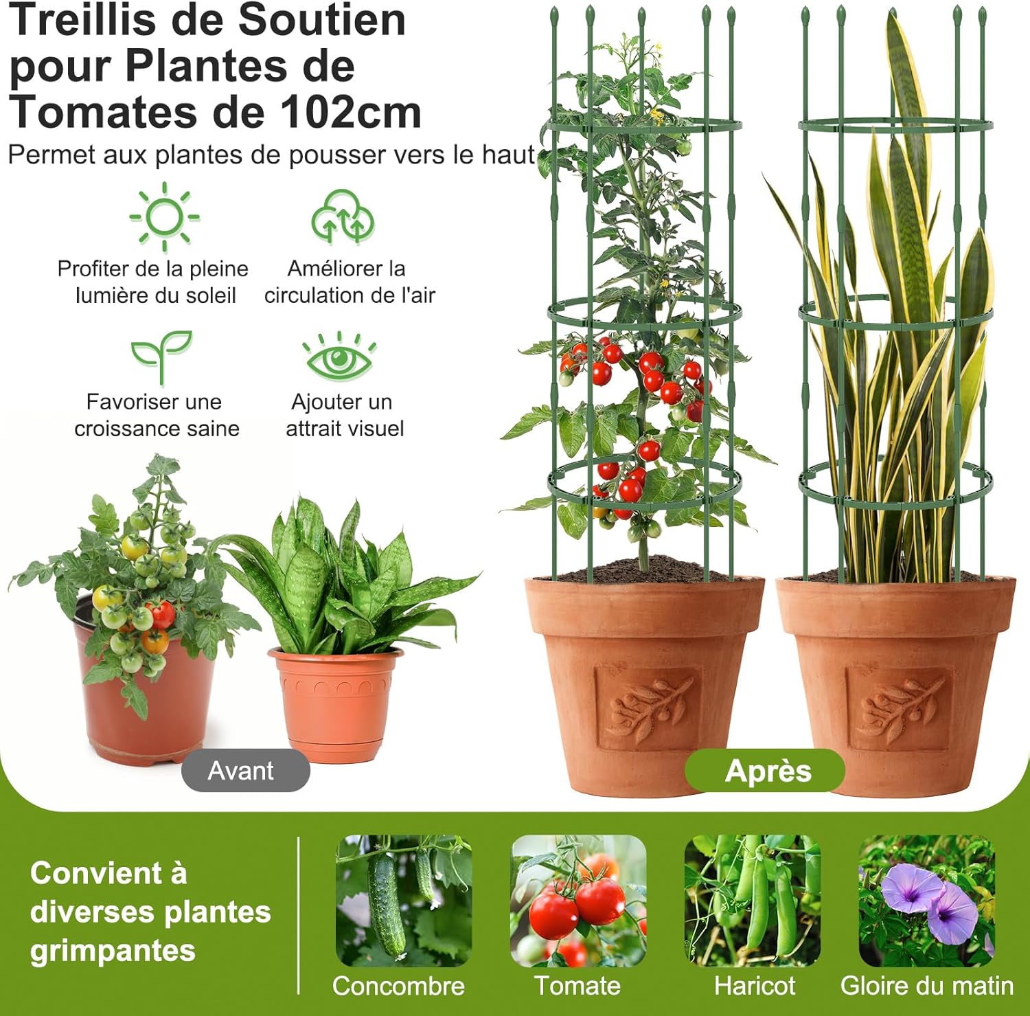 3 Pezzi Obelisco per Rampicanti 165 cm, Supporti per Piante 2 in 1 con Clip e Fascette, Traliccio da Giardino per Piante Rampicanti, Pomodori - 8
