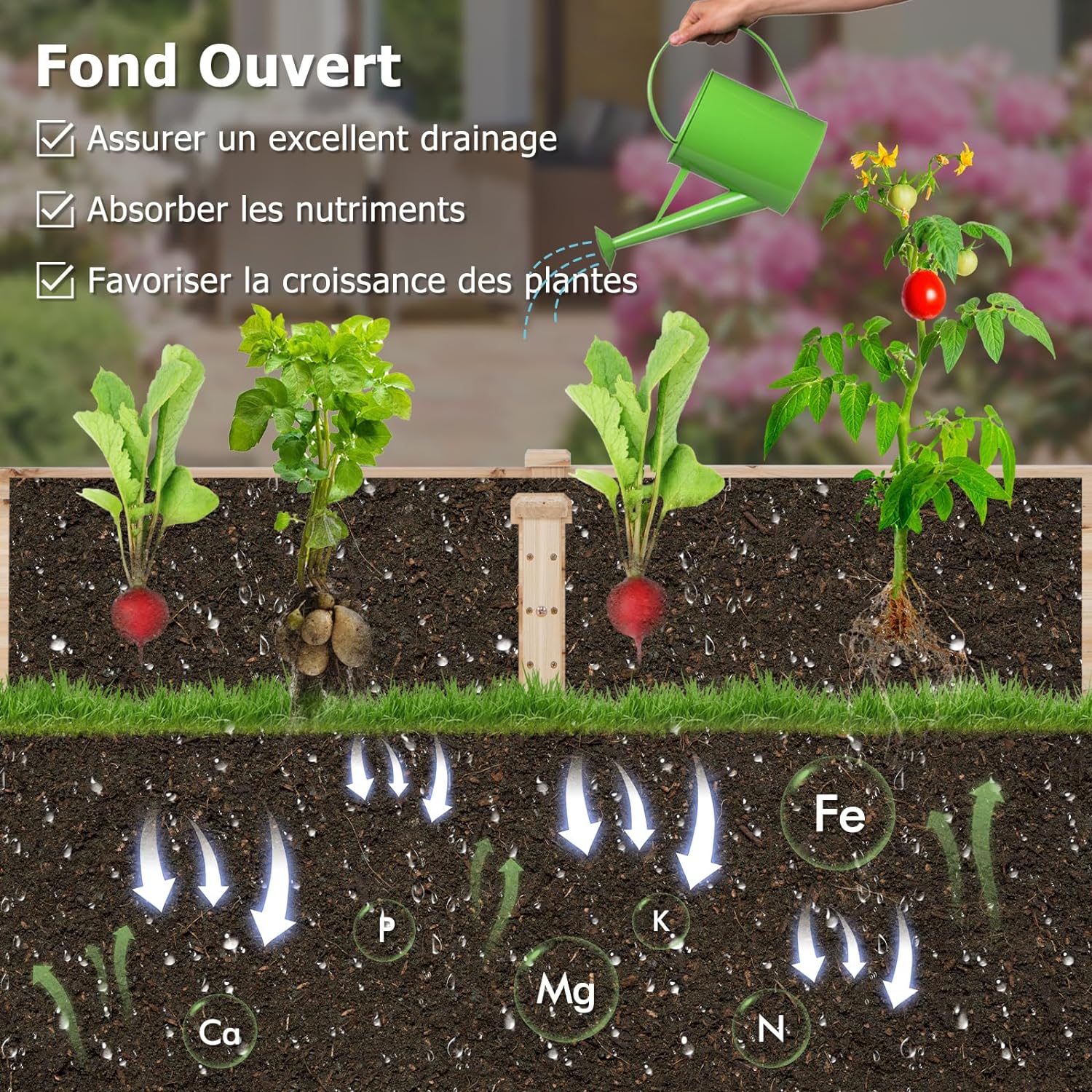 Jardinière Surélevée avec 1 Treillis, Bac à Fleurs Extérieur en Bois avec Compartiments Divisés, Assemblage DIY - 4