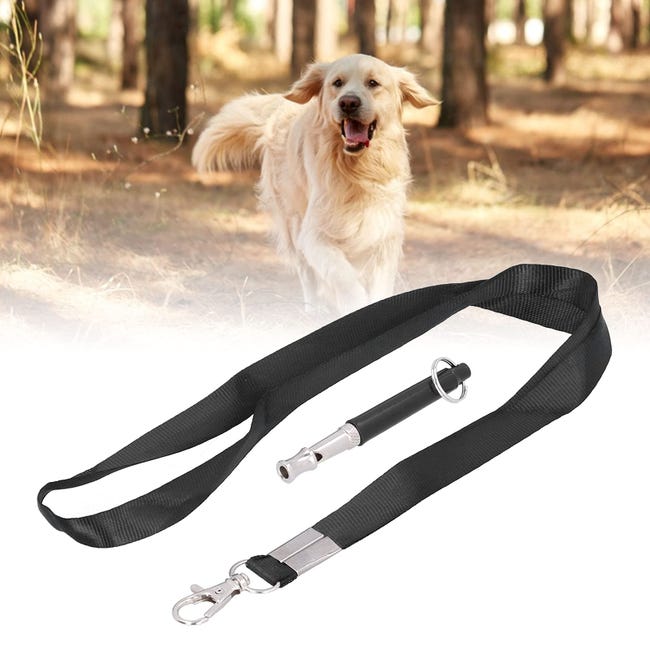 Accessori per il cane - Armeria Portale Accessori per il cane - Armeria Portale