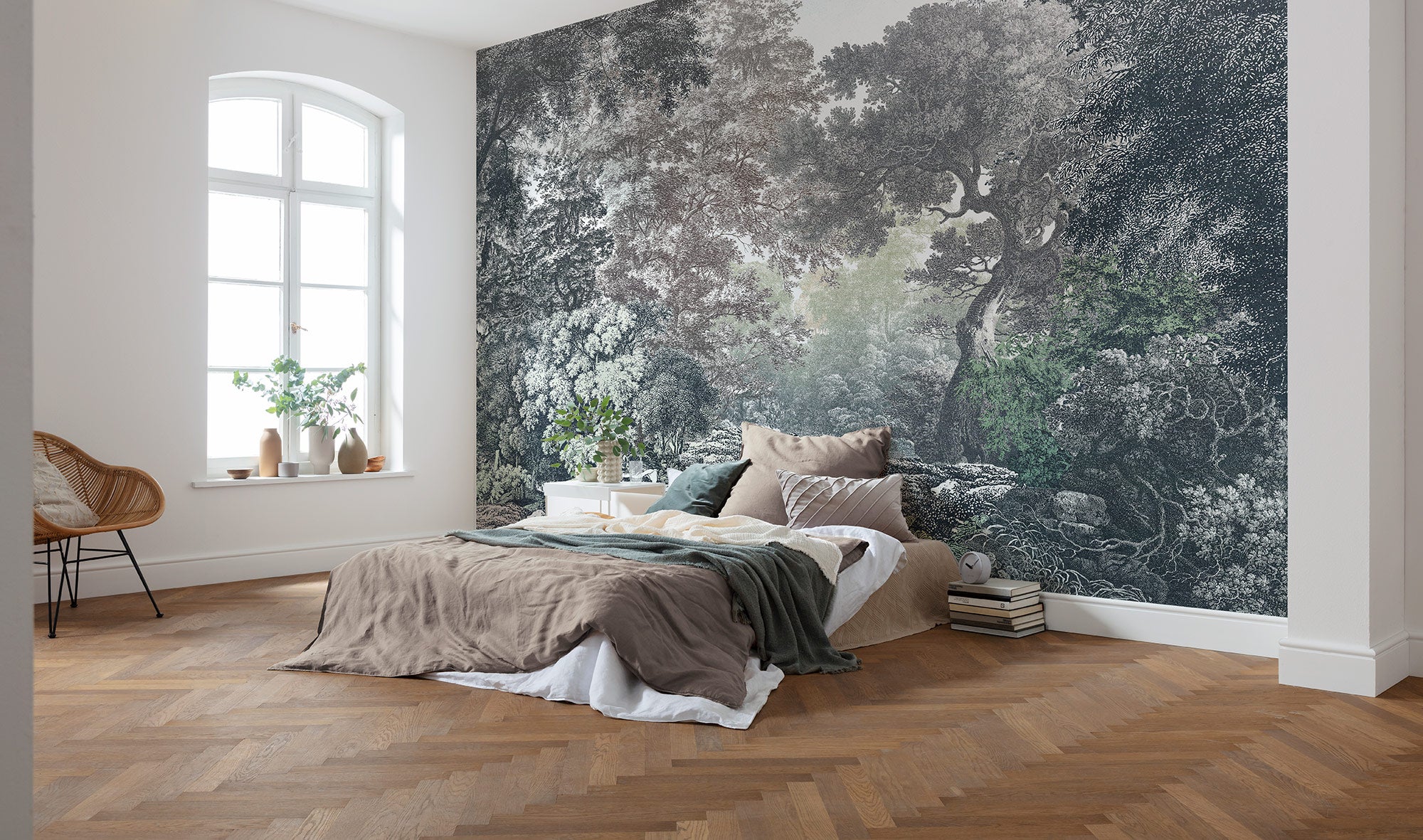 Fototapeta bajkowy las szarymIzielonym - 400 x 280 cm - SANDERS &amp; SANDERS