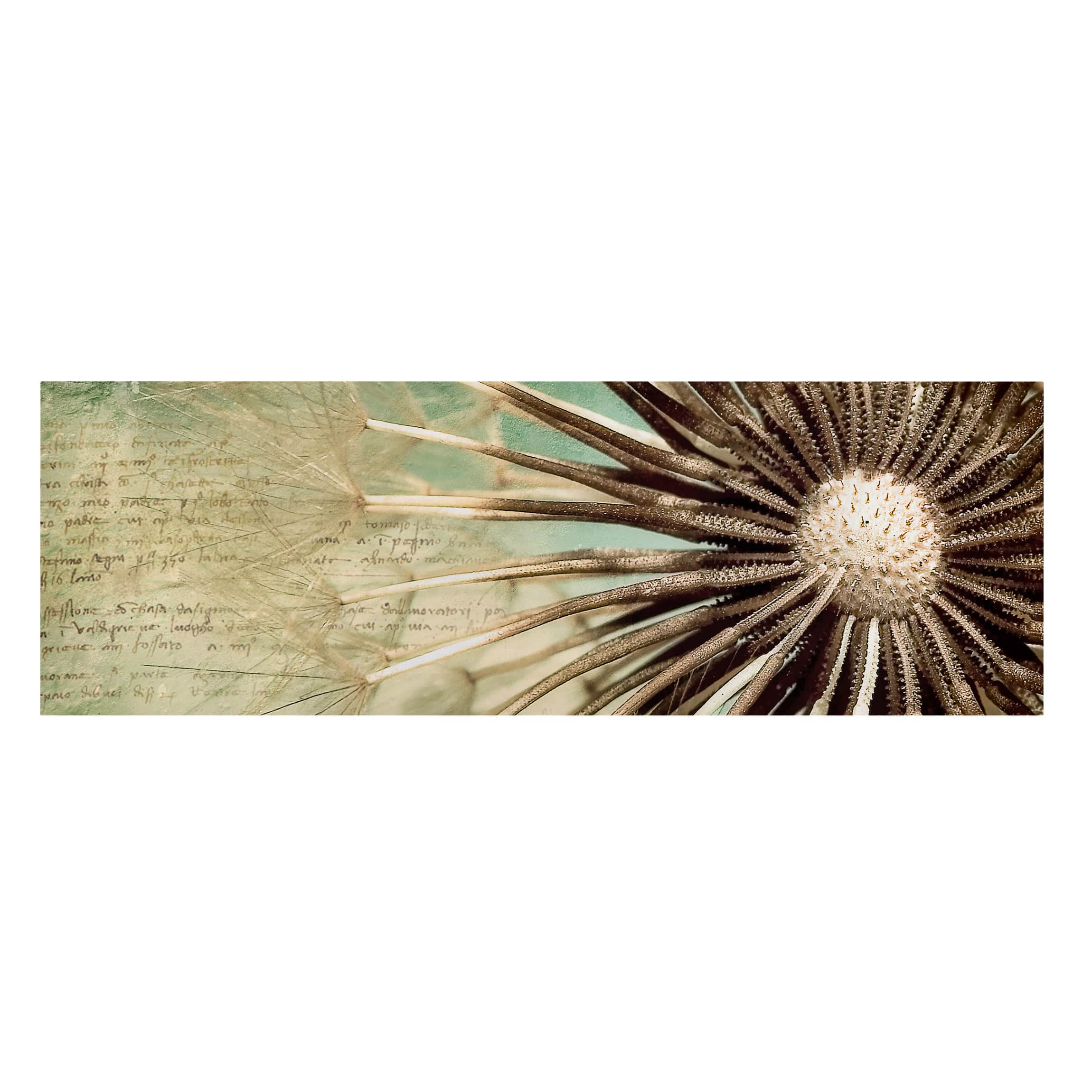 Impression sur toile tableau sur toile châssis beige botanique fleur pissenlit 31 cuisine chambre à coucher salon couloir 120 x 40 cm - 5