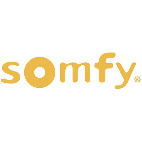 Somfy 1870645 1 canal Emetteur manuel sans fil 868 MHz - 2
