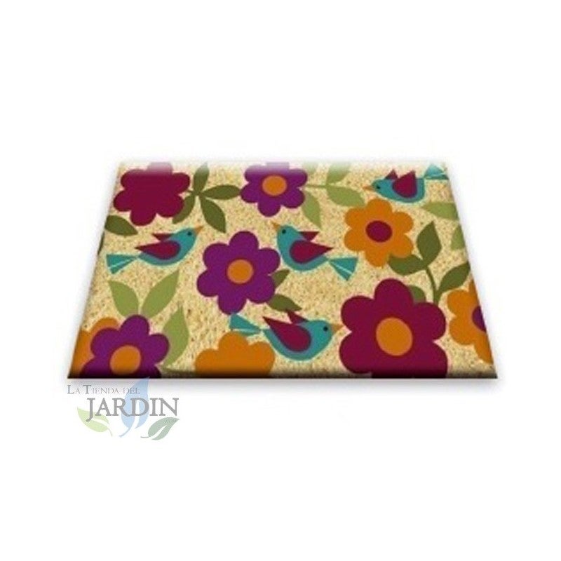 Tapis Entrée 120x80 Cm THEOFLEX Antidérapant Paillasson Entrée 120x80cm THEOFLEX - Super Absorbant - Antidérapant - Facile D'Entretien Tapis D' entrée