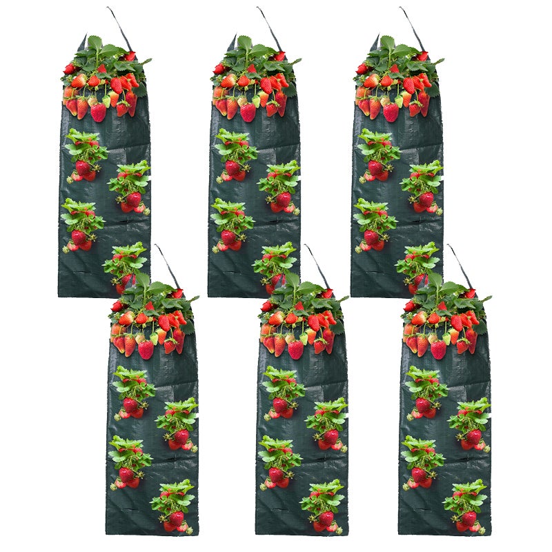 Zestaw 6 składanych i perforowanych worków do uprawy truskawek, łatwych do zawieszenia, na owoce i warzywa na balkonie domowym, 60 x 25 cm