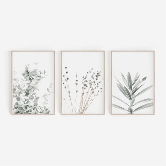 Lote de 3 elegantes pósters de pared para salón - Imágenes decorativas para dormitorio - Eucalipto y lavanda - Sin marco (30 x 40 cm)