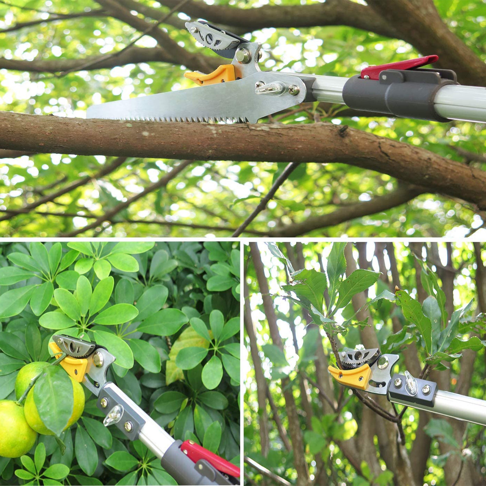 Sécateur Télescopique FISHTEC 1.37 À 2.2 m Avec Scie 30 cm 52 Dents Lame Acier Enclume De Préhension Manche Aluminium Portée 4 m Élagage Jardin - 5