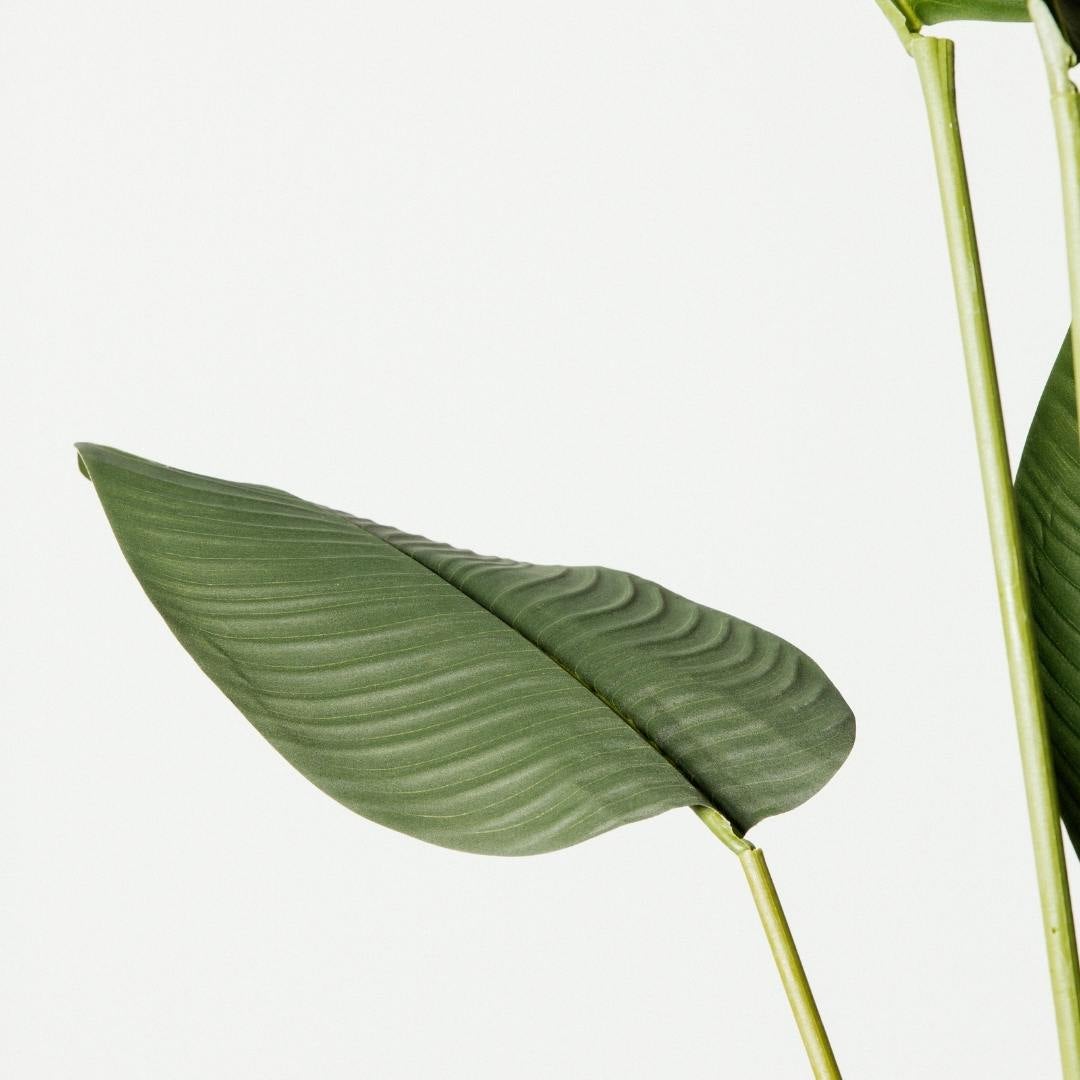 Planta Artificial Tropical, Ave del Paraíso Strelitzia 160cm. Gran Realismo con Maceta para Decoración Interior Salón Hogar y Oficina - 4