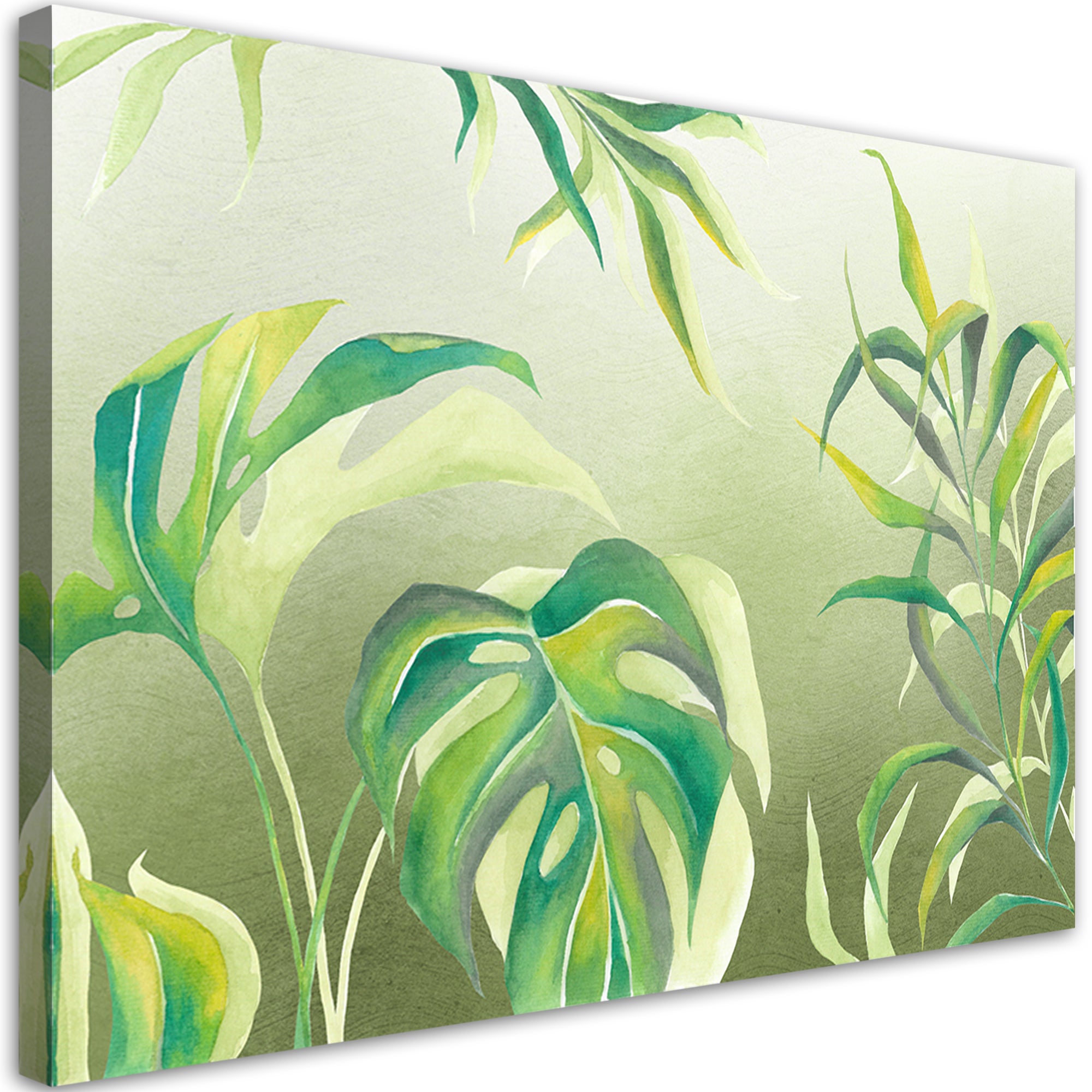 Obraz na płótnie, Liście Monstera 60x40