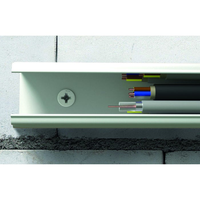 Boîte de 200 chevilles à clou - N5x25/1F - Avec collerette épaisse - Tête fraisée - 5