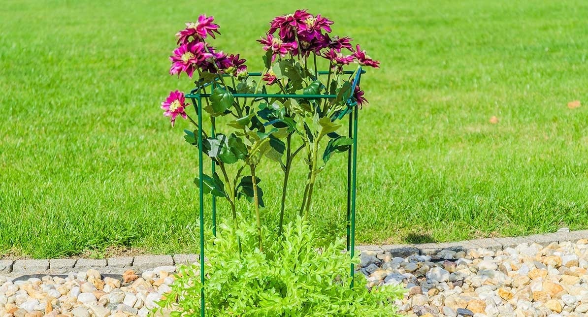 PODPORA DO ROŚLIN KWIATÓW RÓŻ METALOWA OBEJMA NA KWIATY PODPÓRKA 80cm MOCNA
