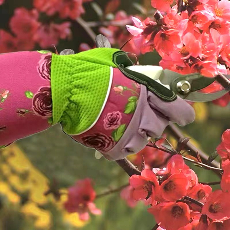 Gants de jardinage, gants anti-épines roses, gants anti-épines extra longs, vert - 6