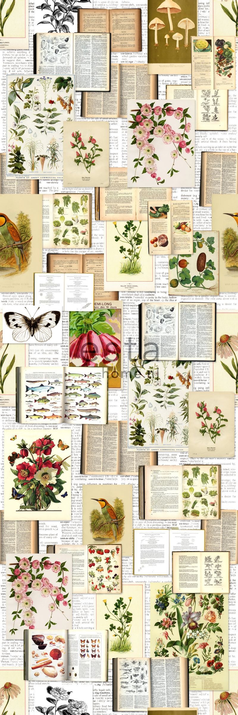 Fototapeta nadruki botaniczne beżowym,zielonymIróżowym - 100 x 279 cm - ESTAHOME