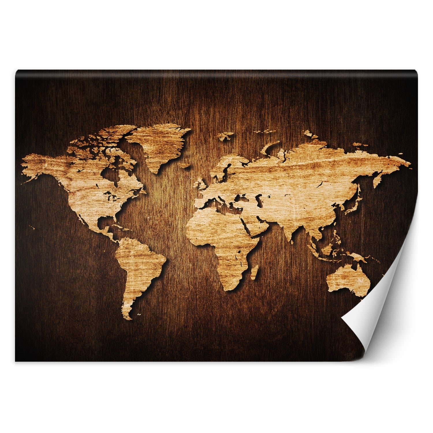 Fototapeta, Mapa świata na drewnie 254x184