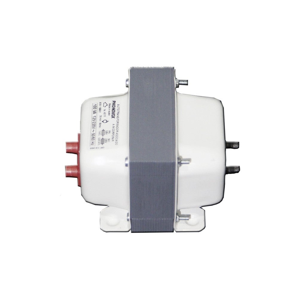 Autotrasformatore reversibile 500va 350w 125 220v Phonovox | Leroy Merlin