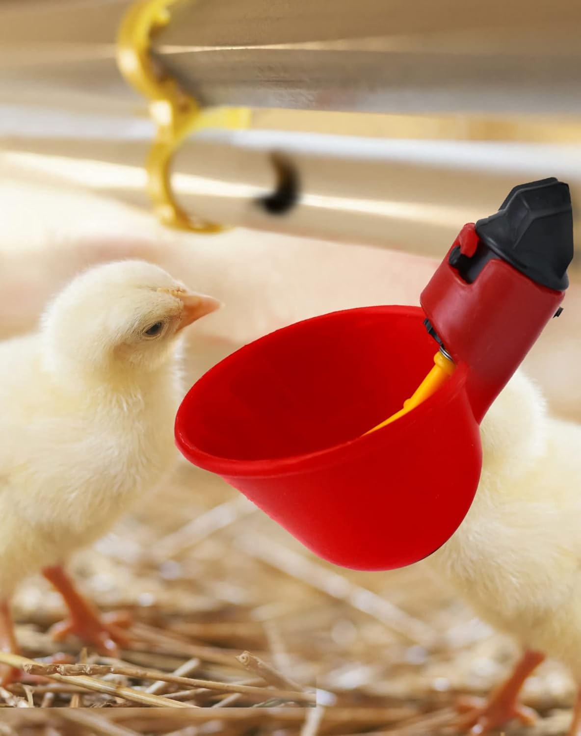 10 peças bebedouro automático para galinhas, bebedouro de plástico para aves, codornas, pombos, galinhas (25 mm, para baldes) - 4