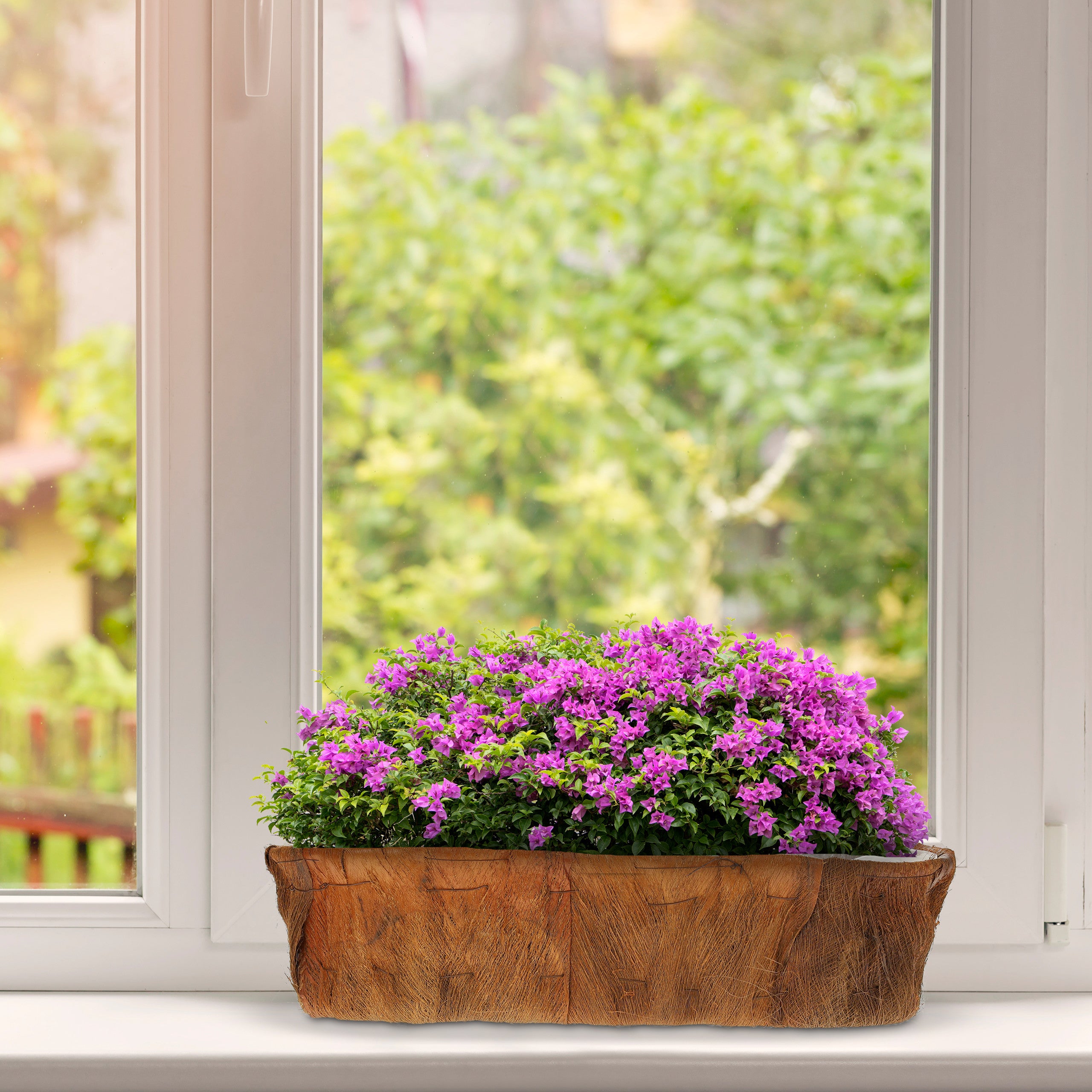 Jardinières, 4 tailles différentes, jardin, balcon & rebord de fenêtre, cache-pots avec film plastique nature, Relaxdays - 5