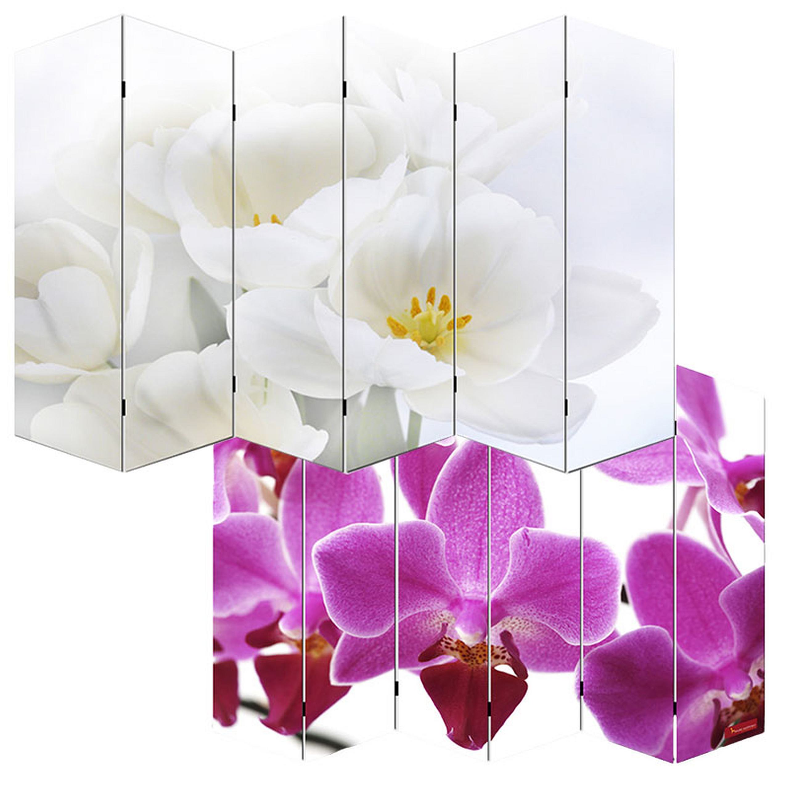Parawan fotograficzny ścianka działowa M68 z certyfikatem MVG ~ 180x240cm, orchidea