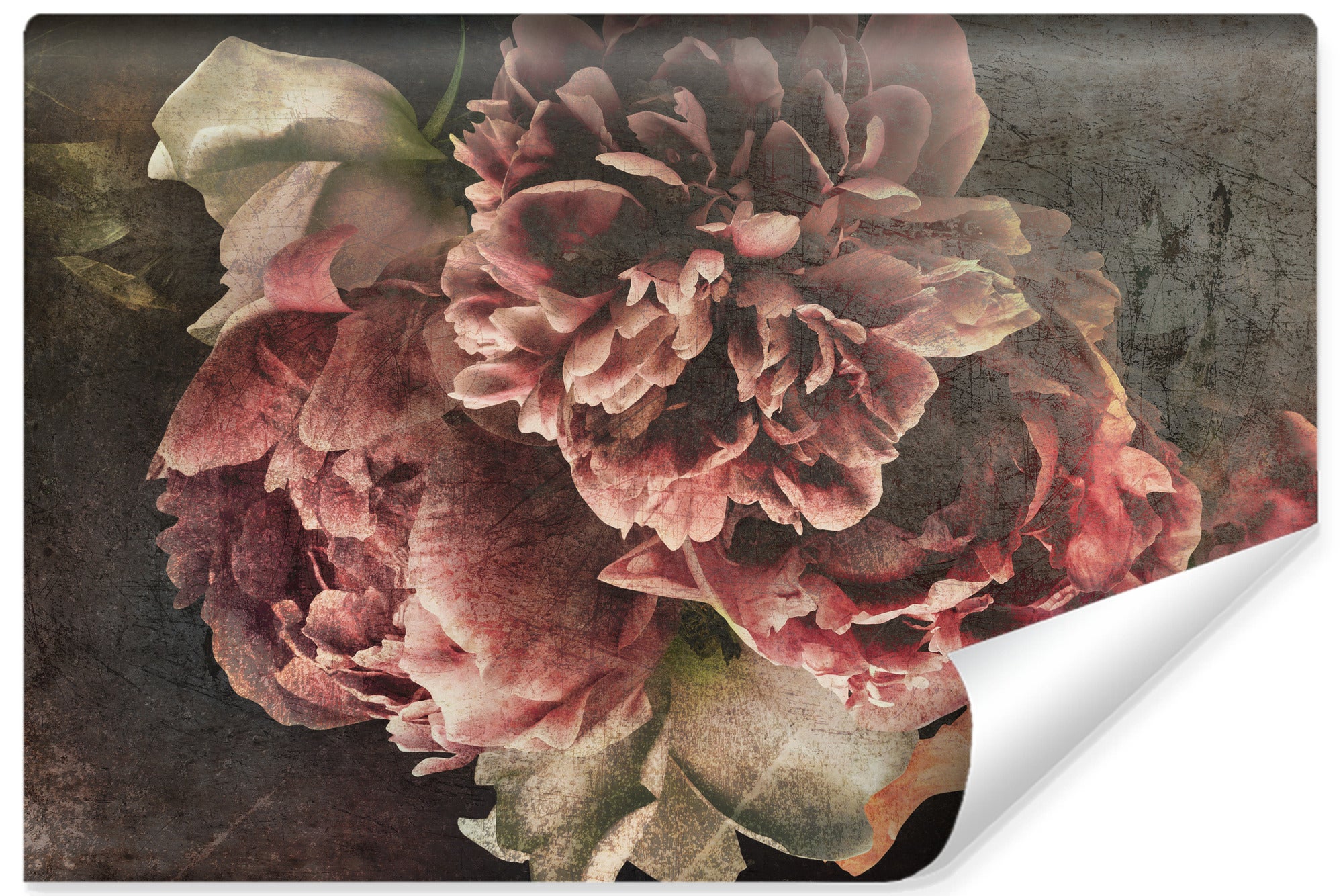 Peonías Rosas Sobre Fondo Rosa Con Espacio De Copia Diseño De Marco