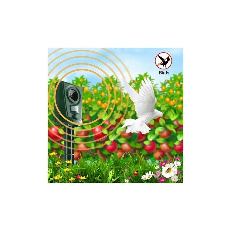 2X Répulsif Chat Jardin à Ultrasons, Répulsif Chats avec Piquet au Sol Prévenir Les Chiens et Les Chats, Les Oiseaux, pour Jardins, Champs, Pépinières - 4