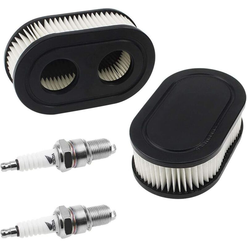 Filtre à Air pour Briggs & Stratton 798452 et 5432 Pièces de Moteur ...