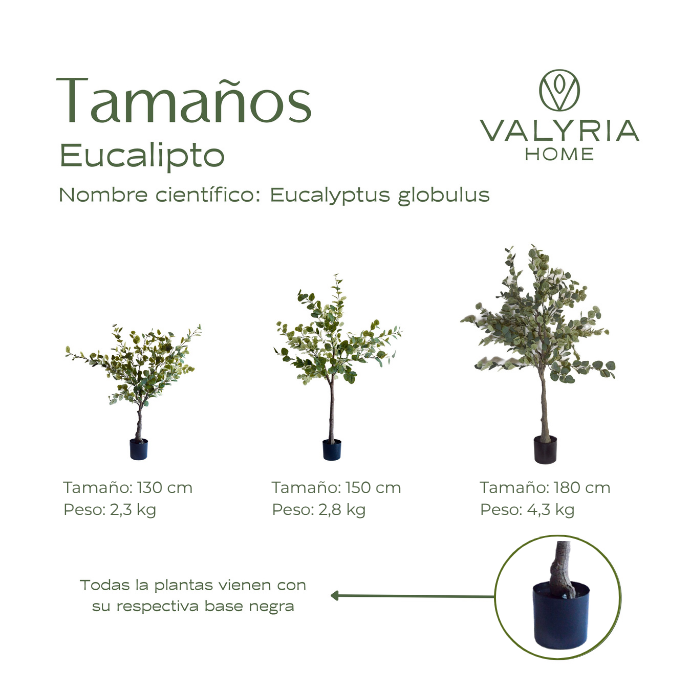 Planta Artificial Eucalipto 180 cm - Árbol Artificial Eucalipto – VALYRIA HOME - 8