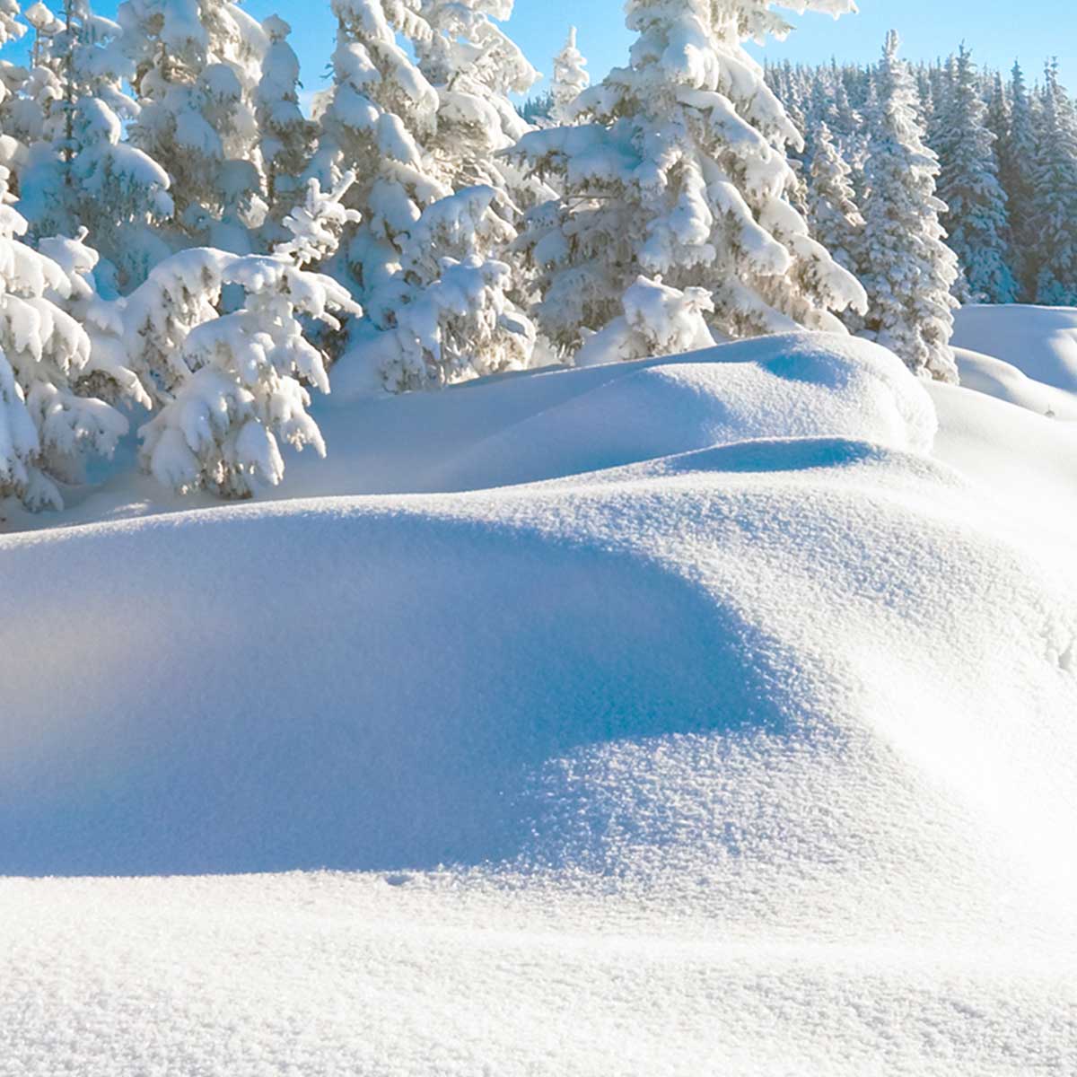 Tableau montagne trace dans la neige fraiche , 80x50cm - 4