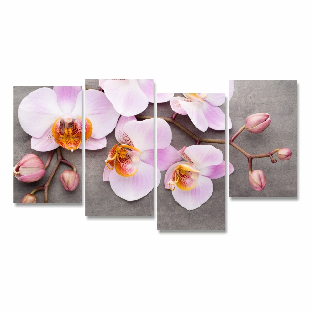 Runa Art Orchidea Fiori Quadro Tela Non Tessuta 5 Pezzi Astratto Rosa Grigio Camera Da Letto Soggiorno 008353a Runa Art Orchidea Fiori Quadro Tela Non Tessuta 5 Pezzi Astratto Rosa Grigio Camera Da Letto Soggiorno 008353a