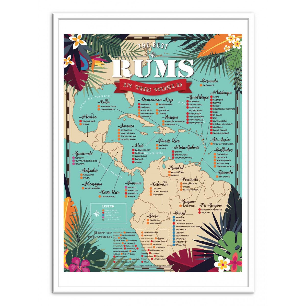 Affiche d’art 50 x 70 cm - Best rums in the world - Frog Posters - 3