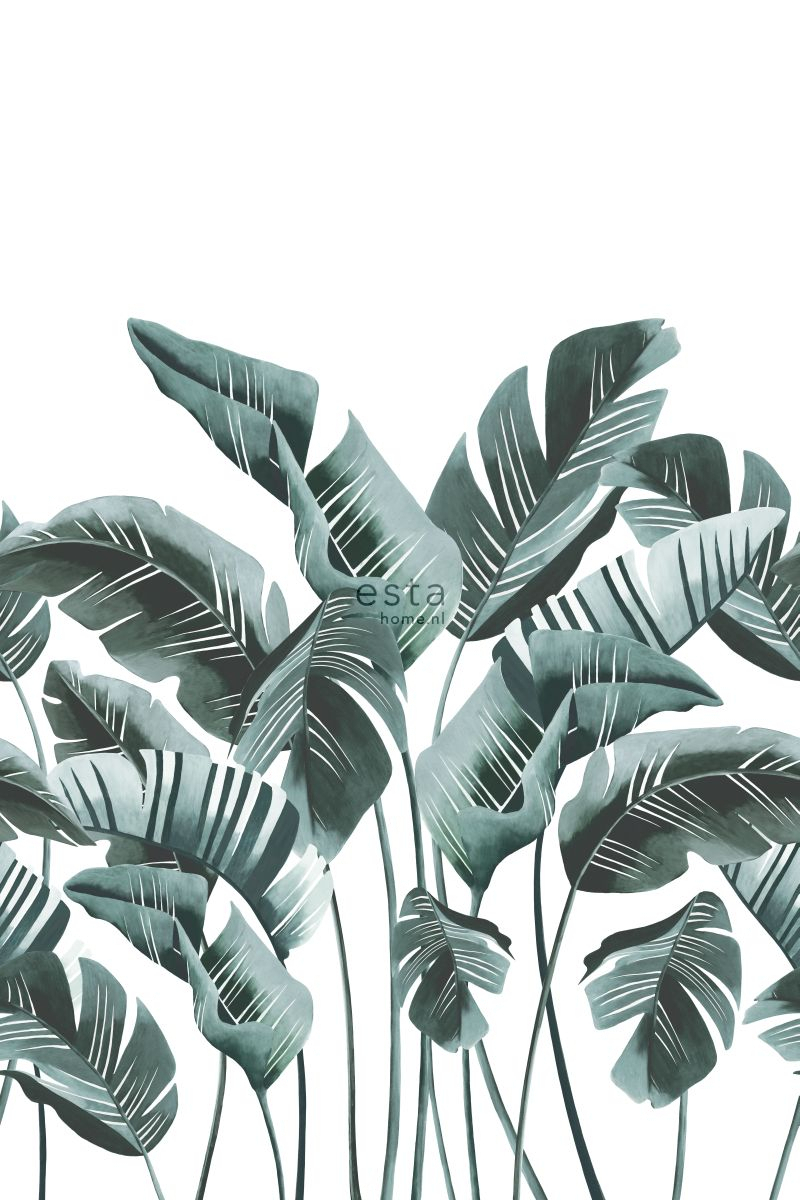 Fotomural hojas grandes de banano azul verde - 200 x 279 cm - estahome