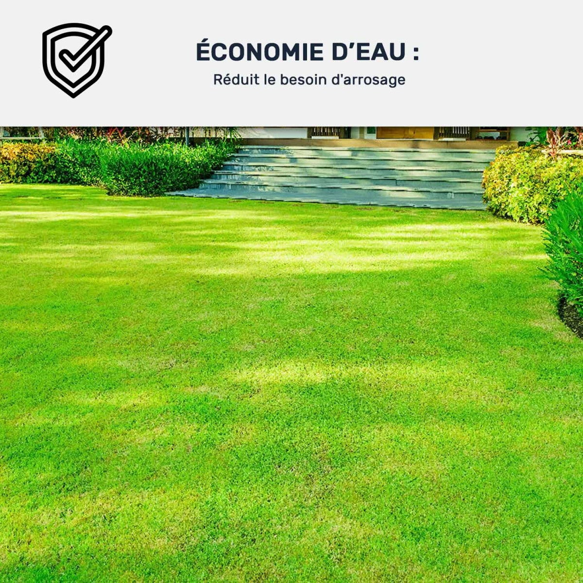 Peinture Gazon, Pelouse, Végétation : ARCAGREEN Vert - 1 L - ARCANE INDUSTRIES - 4