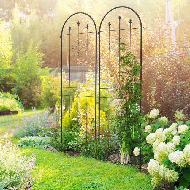 Treillis De Légumes, Treillis De Jardin pour Plantes Grimpantes, Cadre