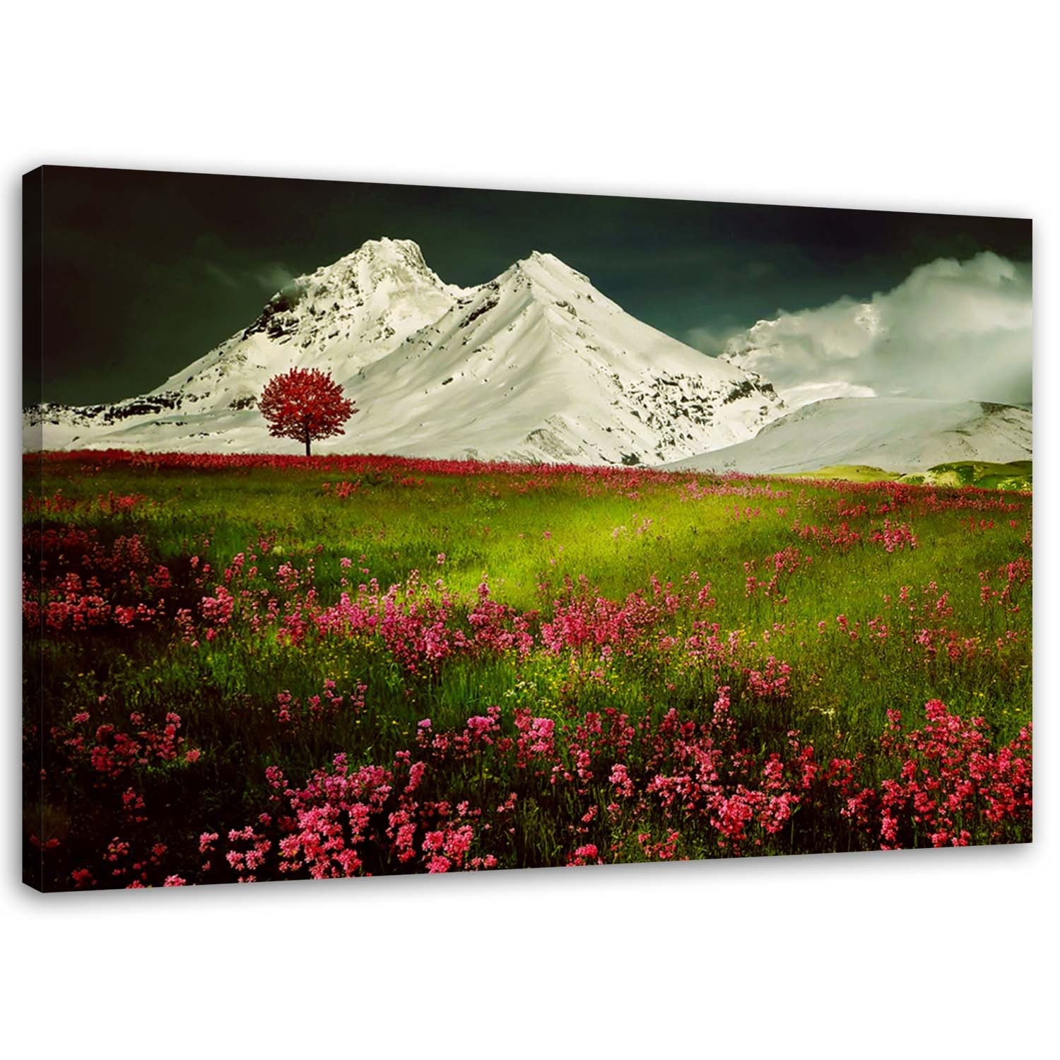 Obraz na płótnie, Krajobraz górski natura 100x70
