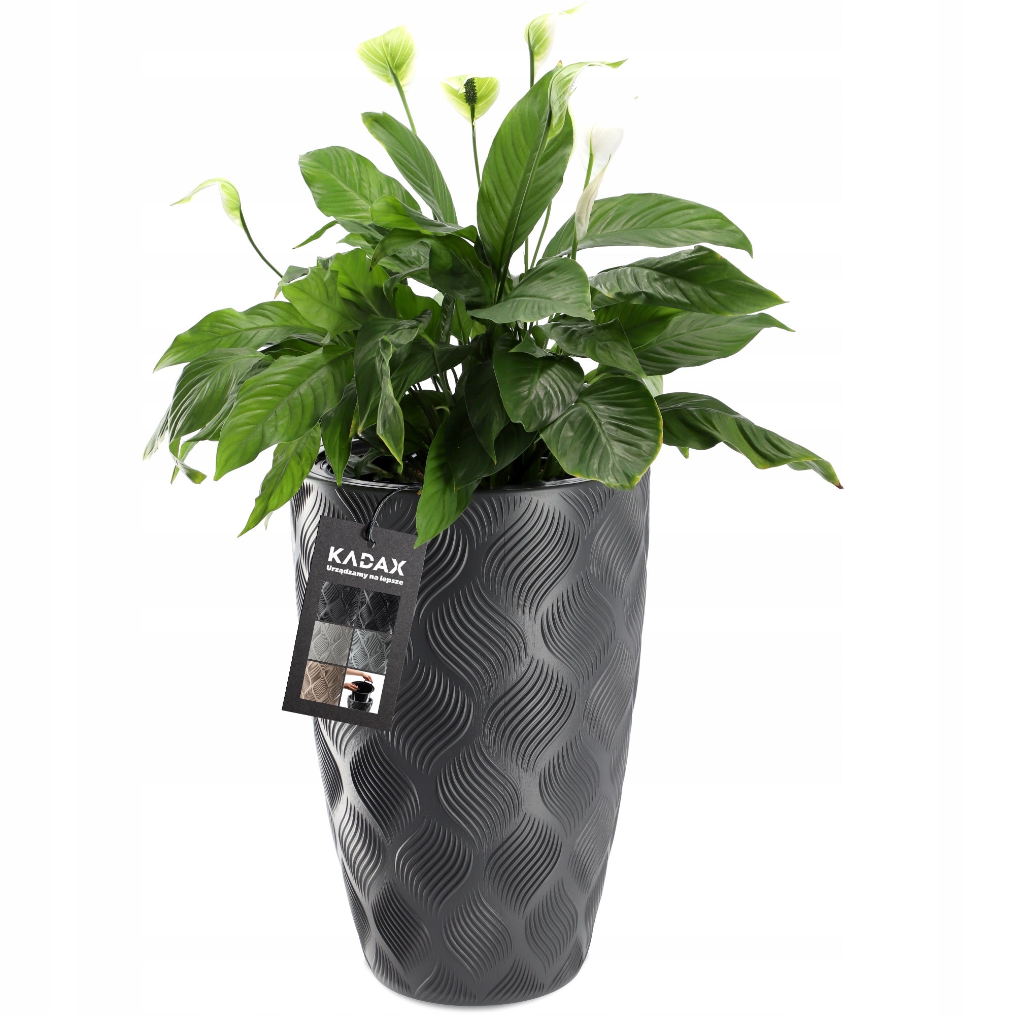 Vaso de flores KADAX com inserção Vaso de jardim antracite 58,5 cm - 3