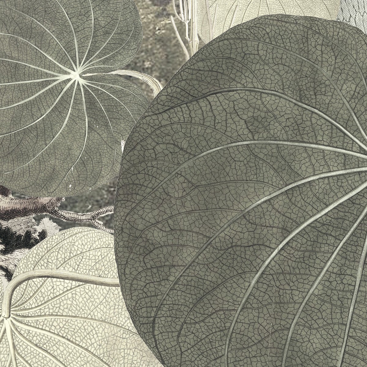 Fotomurale in tessuto non tessuto di Komar - Creation - Dimensione: 300 x 280 cm - 7
