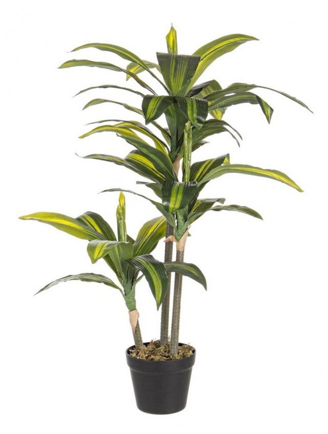 Dracaena Reflexa Decorativa YASU, 1975 Foglie, Giallo-Verde, difficilmente infiammabile, 180cm - Pianta Artificiale/Pianta Tropicale