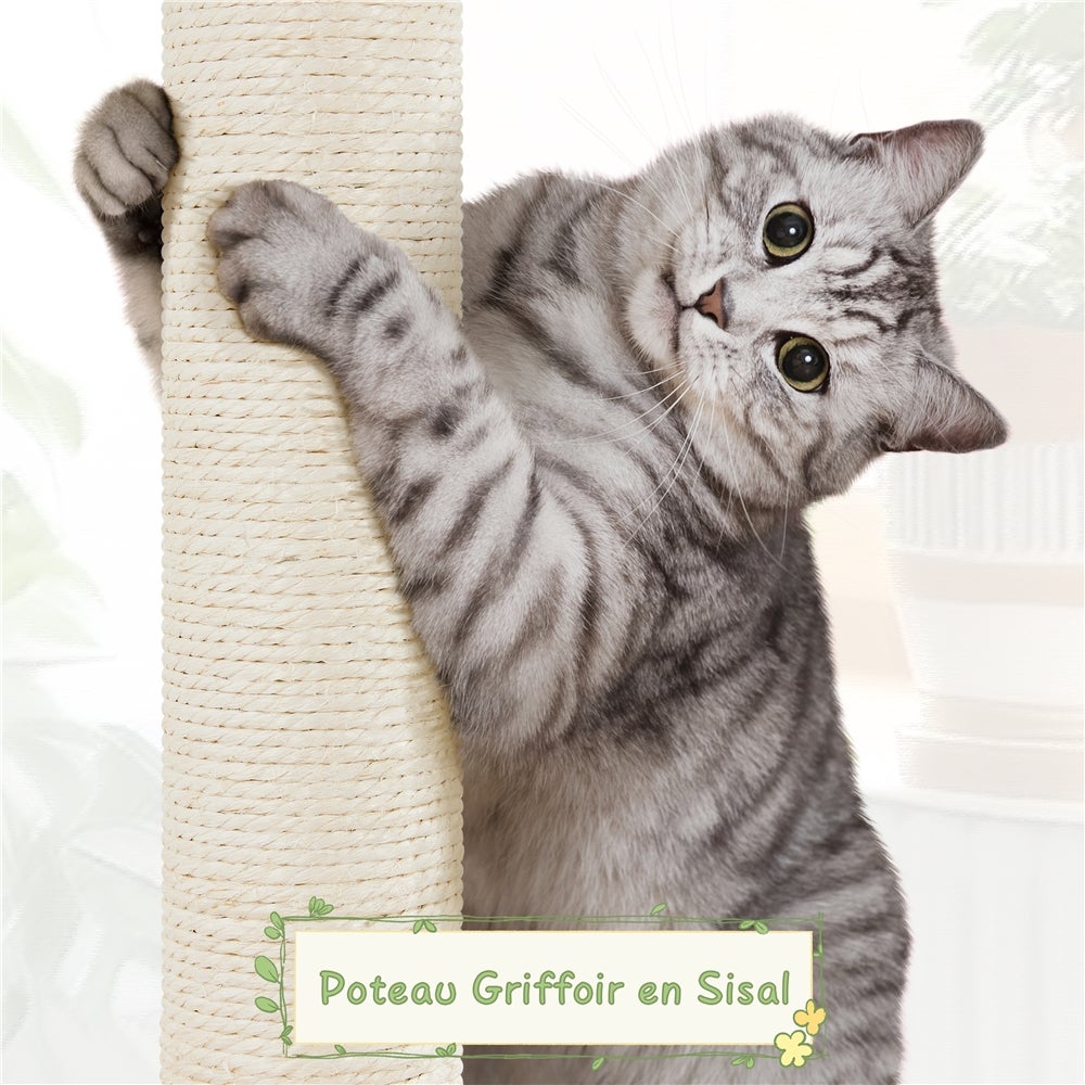 Arbre à Chat en Rotin Cachette Coussin Souple Panier Supérieur Griffoir en Sisal 75 cm Yaheetech - 6