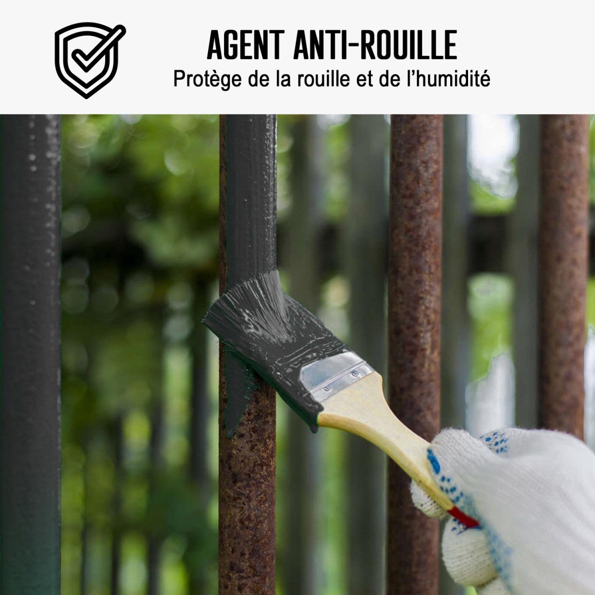 Peinture métal et fer pour : portail, grille, garde corps : ARCALAQUE 101 Gris Anthracite - RAL 7016 - 0.5 L - ARCANE INDUSTRIES - 3