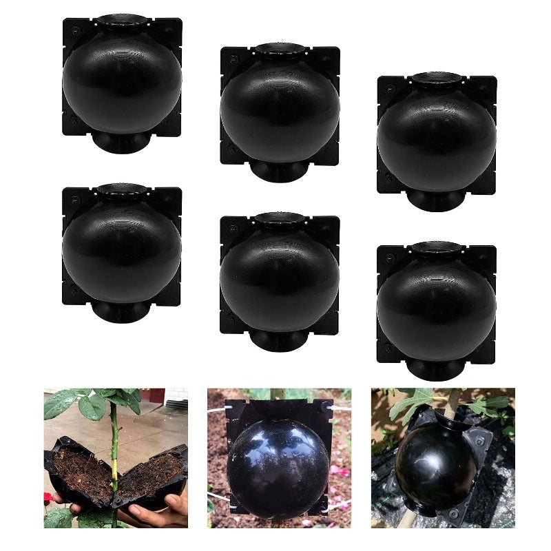 Kula do ukorzeniania roślin, skrzynka do sadzenia korzeni ogrodowych, narzędzia do sadzenia, średnica 5 cm, 6 sztuk/zestaw