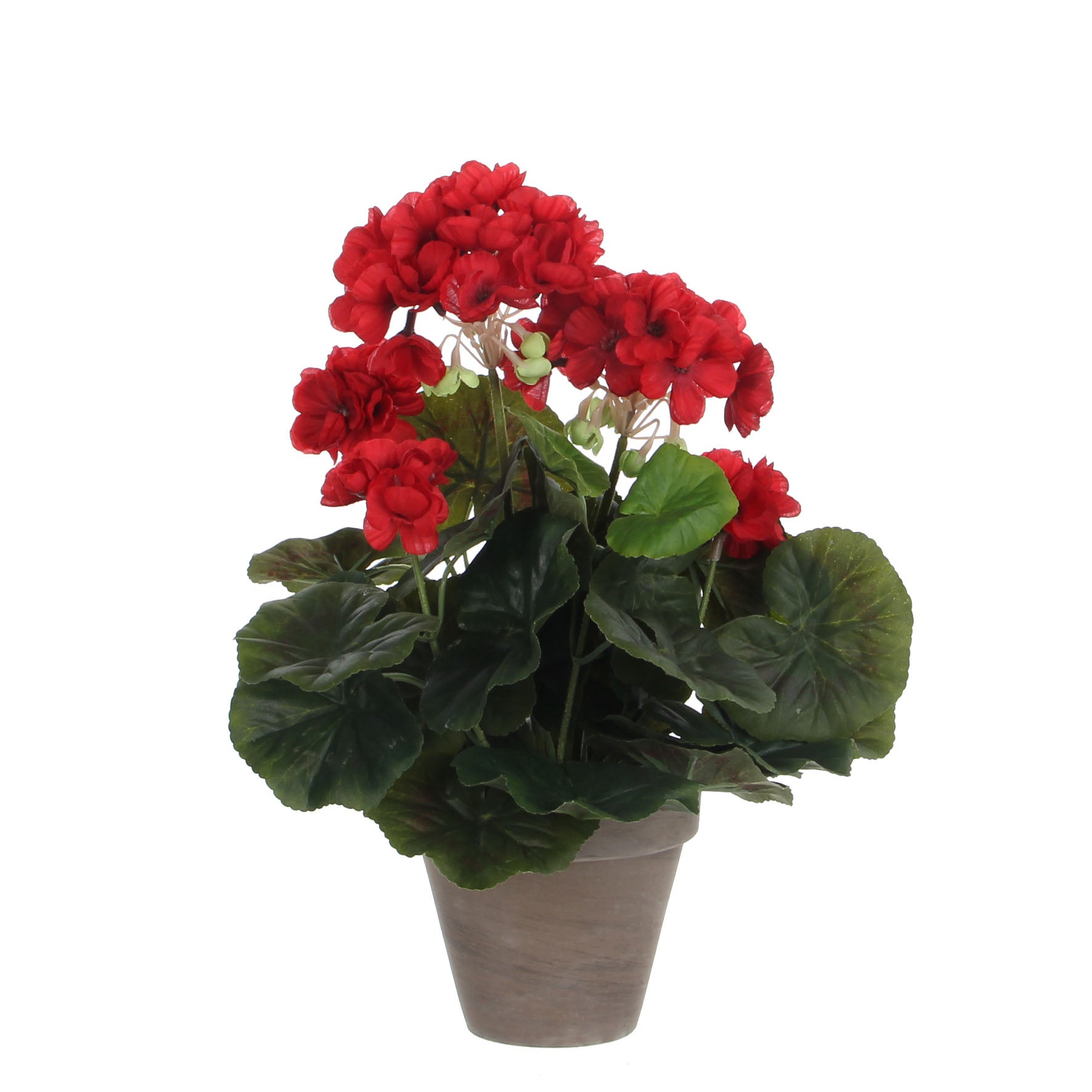 Sztuczna roślina Mica Decorations Geranium czerwona z doniczką terakotową 34cm