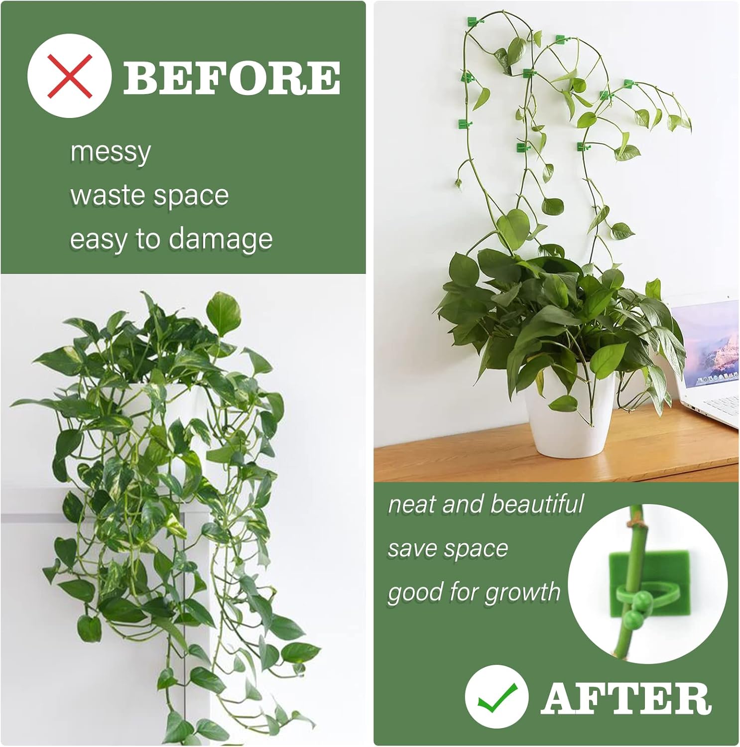 Lot de 100 clips de support pour plantes grimpantes, auto-adhésifs, pour mur ou treillis, pour soutenir vos plantes (verts) - 5