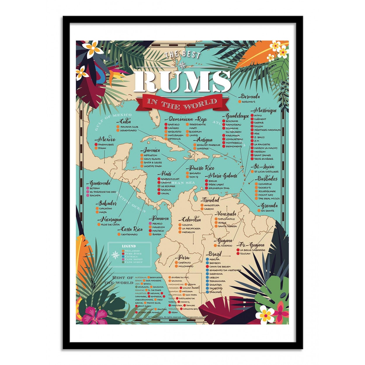Affiche d’art 50 x 70 cm - Best rums in the world - Frog Posters - 2