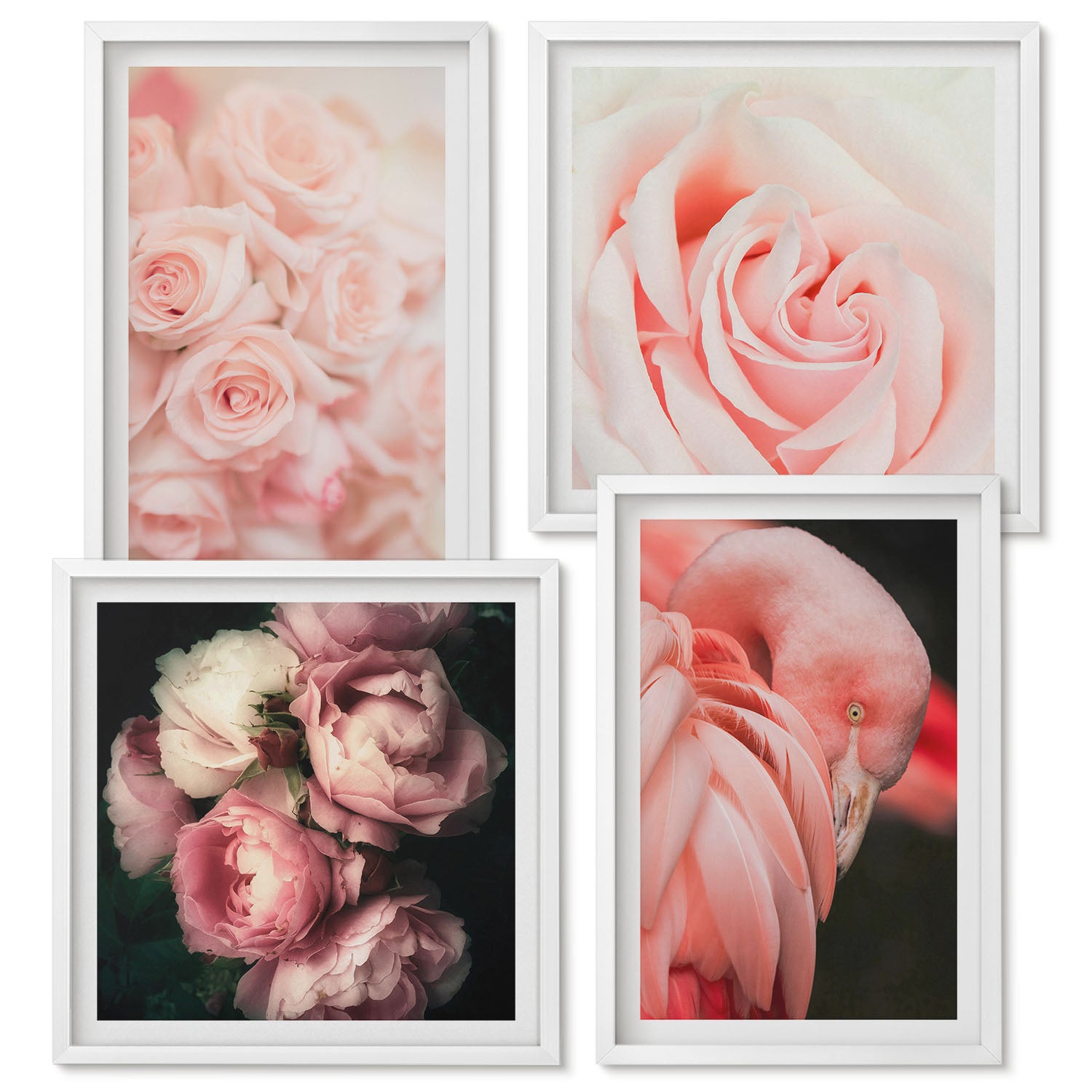 Ensemble de 4 tableaux encadrés | Rose pastel et flamant rose dans des ...